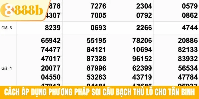 Cách áp dụng phương pháp soi cầu bạch thủ lô cho tân binh