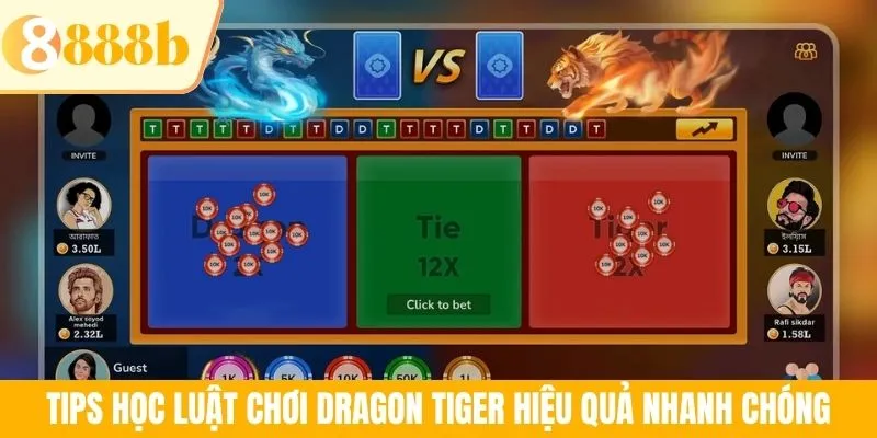 Tips học luật chơi Dragon Tiger hiệu quả nhanh chóng