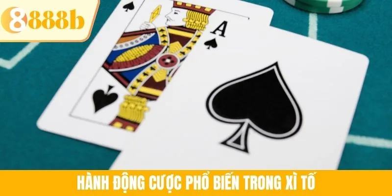 Hành động cược phổ biến trong Xì Tố